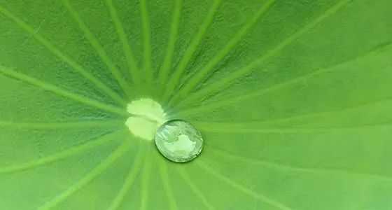 中船风帆通过碳足迹认证和温室气体核查